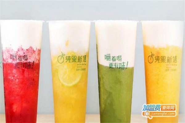 纯果新语加盟