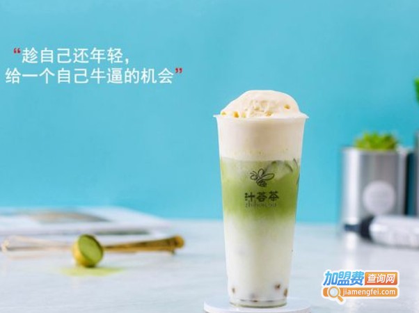 汁荟茶加盟费