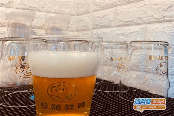 叁金叁啤酒加盟