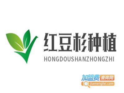 红豆杉种植加盟费