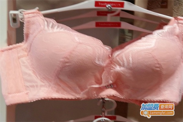 桃花季品牌内衣加盟