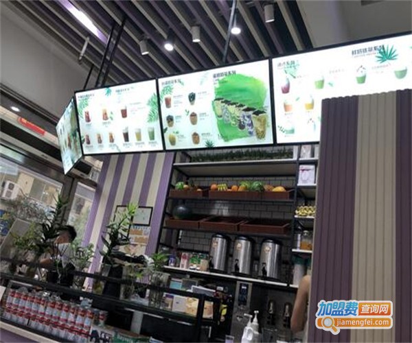 伟得茶自点加盟费