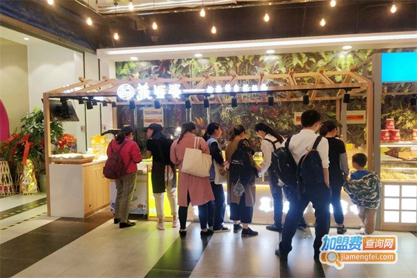蔬婆婆食蔬果干加盟费