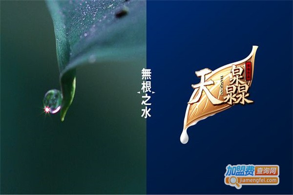 天灥植物饮品加盟