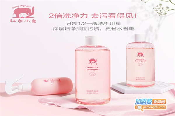 红色小象加盟