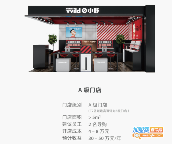 vvild小野加盟费