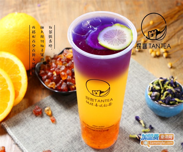 探客tantea加盟费