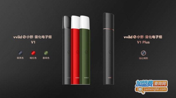 vvild小野加盟费