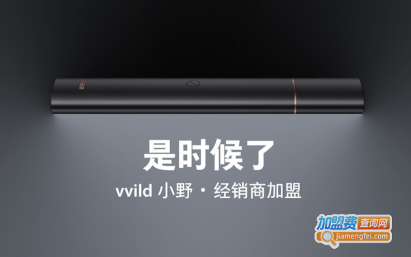 vvild小野加盟费