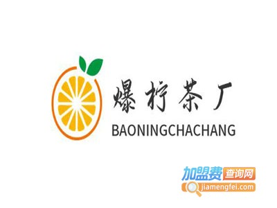 爆柠茶厂加盟电话