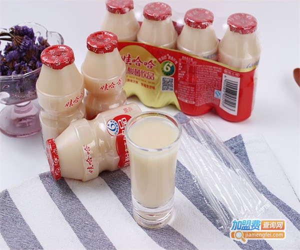 娃哈哈添把劲加盟费