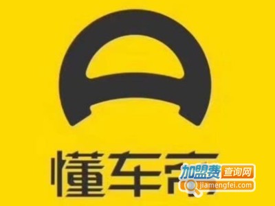 懂车帝加盟电话