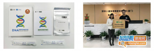 嘉义儿童运动馆加盟费