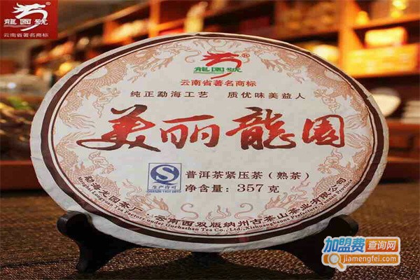 龙园茶加盟