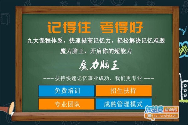 魔力脑王加盟费