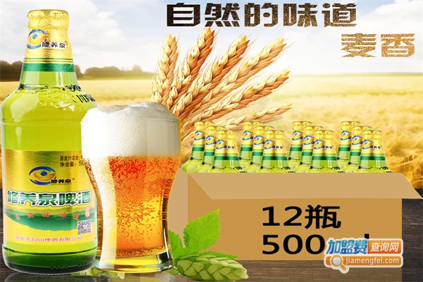 修养泉啤酒加盟