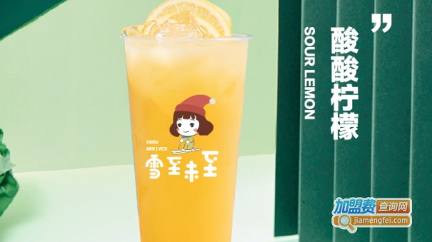 雪至未至奶茶加盟费
