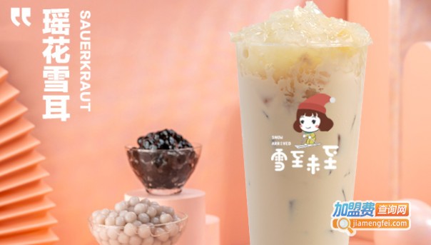 雪至未至奶茶加盟费