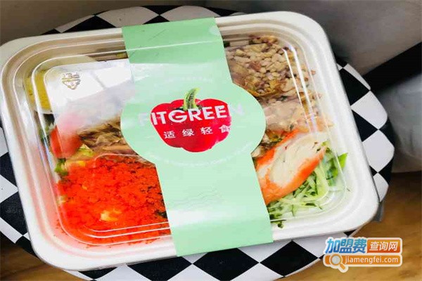 适绿轻食加盟