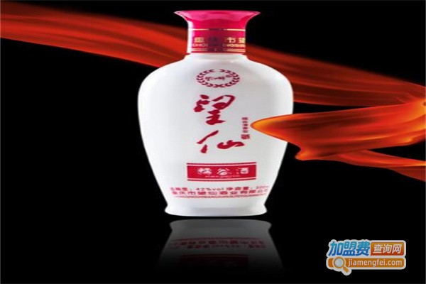 望仙酒加盟