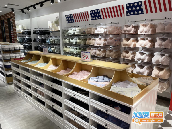 加盟广州BD内衣品牌,邀你开启财富新航线!