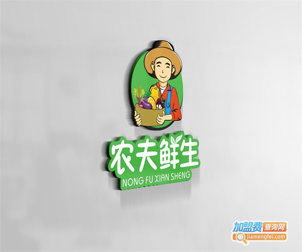 农夫鲜生加盟费