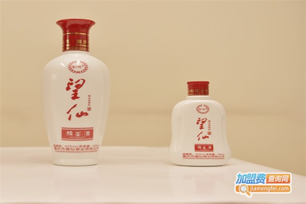 望仙酒加盟