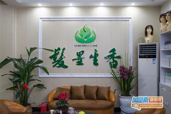 发墨生香加盟