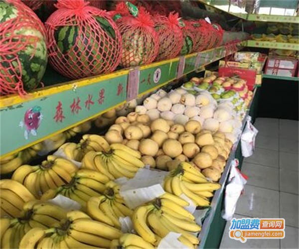 森林果业加盟费