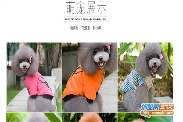德丰宠物用品加盟