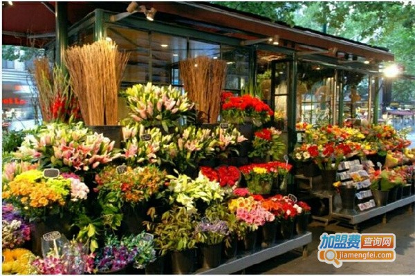 风精灵鲜花店加盟