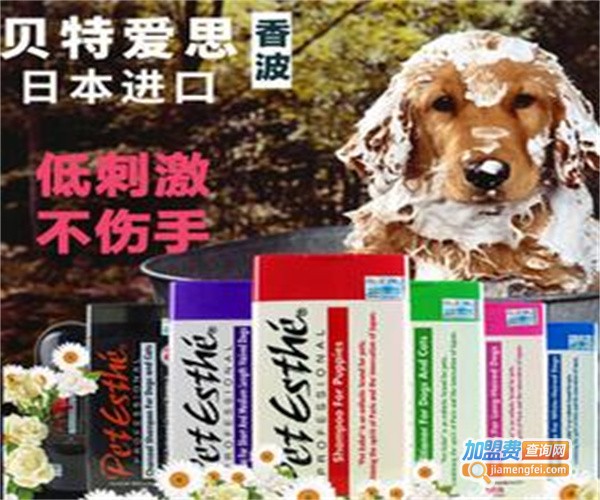 贝特爱思宠物用品加盟费
