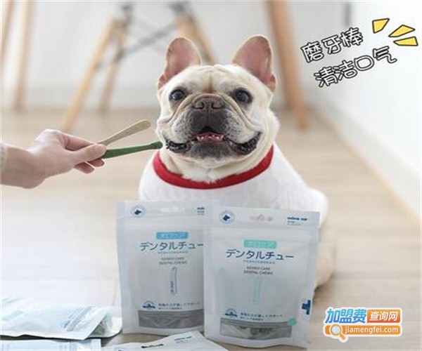 镜旺宠物食品加盟费