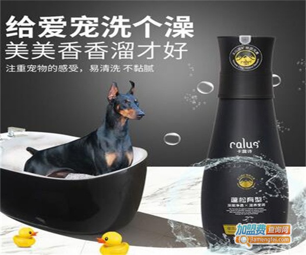 火山宠物用品加盟费