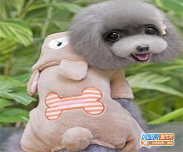 派特宠物用品