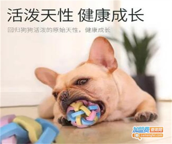 鑫泰宠物用品加盟费