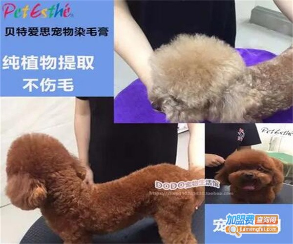 贝特爱思宠物用品加盟费