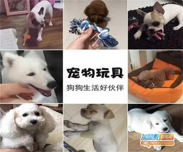 迪耐宠物加盟费