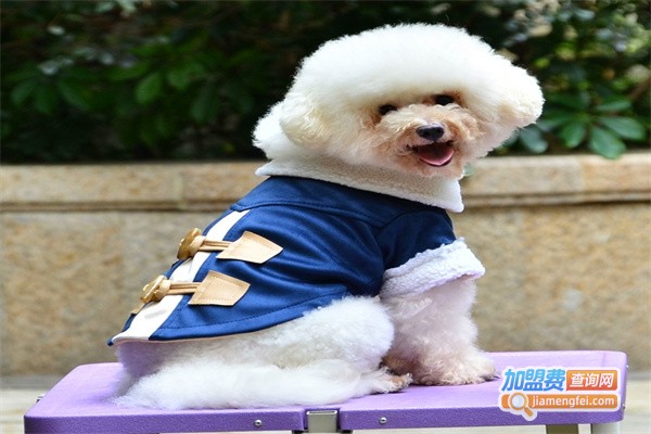 自由犬宠物用品加盟