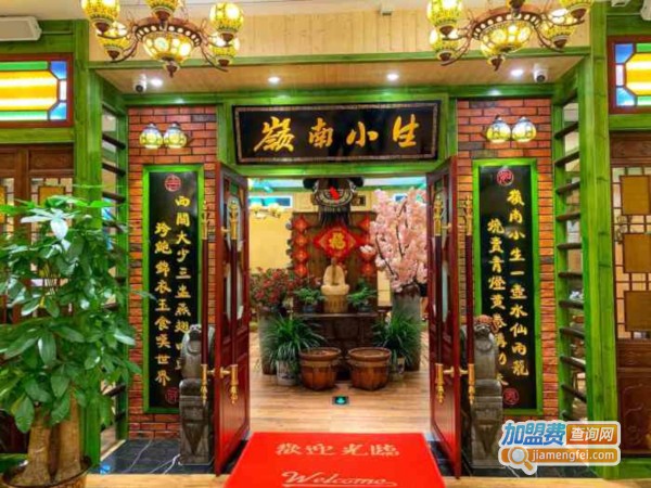 岭南小生加盟费