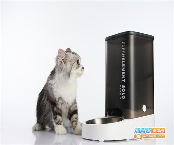 petticoo宠物用品加盟费
