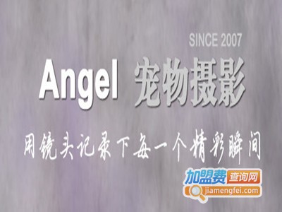 Angel宠物摄影加盟费