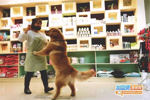 尊宠宠物店加盟