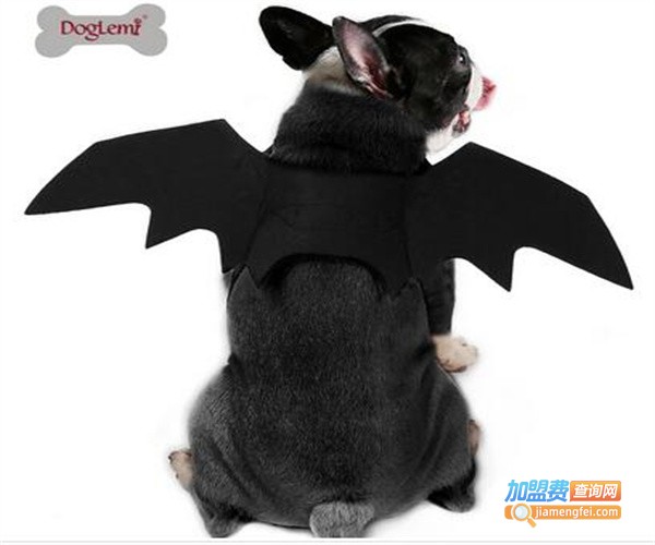 doglemi宠物用品