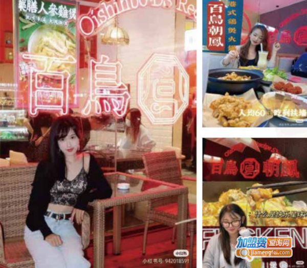 百鸟朝凤港式鸡火锅加盟