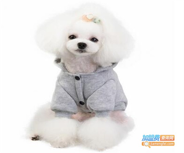 dogbaby宠物用品加盟费