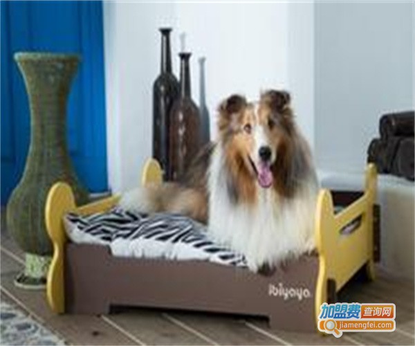 IBIYAYA宠物用品加盟费
