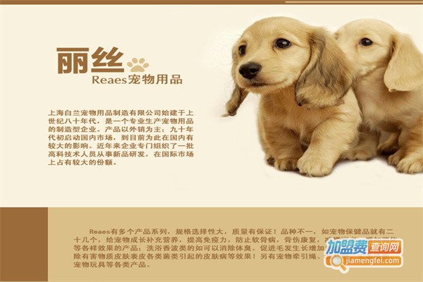 丽丝宠物用品加盟