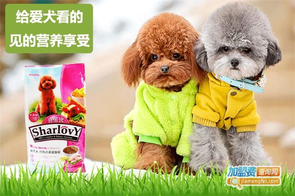 喜乐比宠物用品加盟