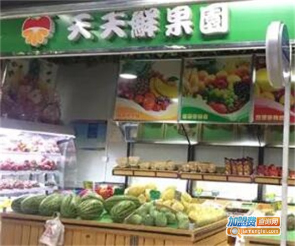 天天鲜果园加盟费
